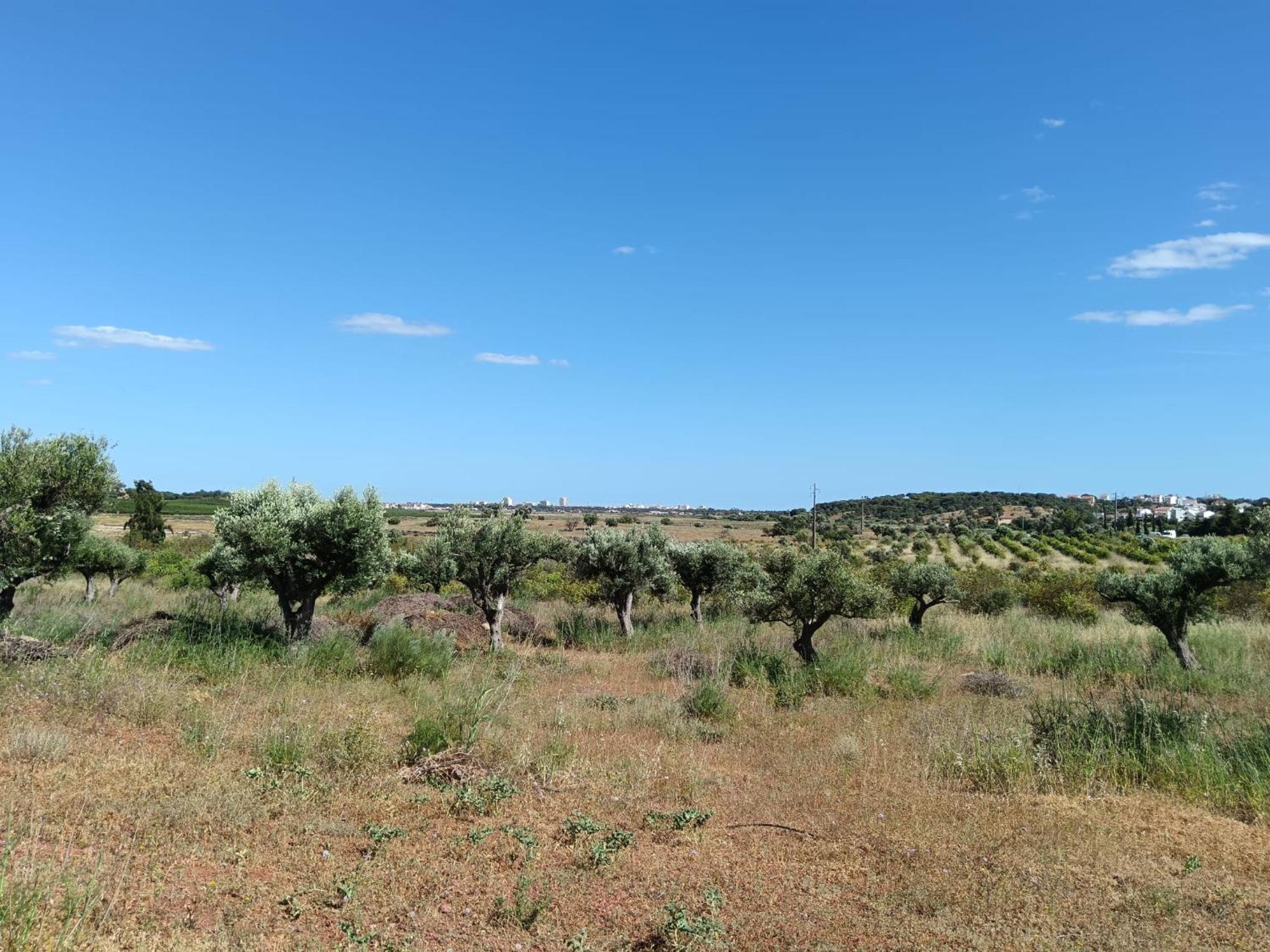 הוילה קסטרו מארים Quinta Da Fornalha - Santuario Agroecologico מראה חיצוני תמונה