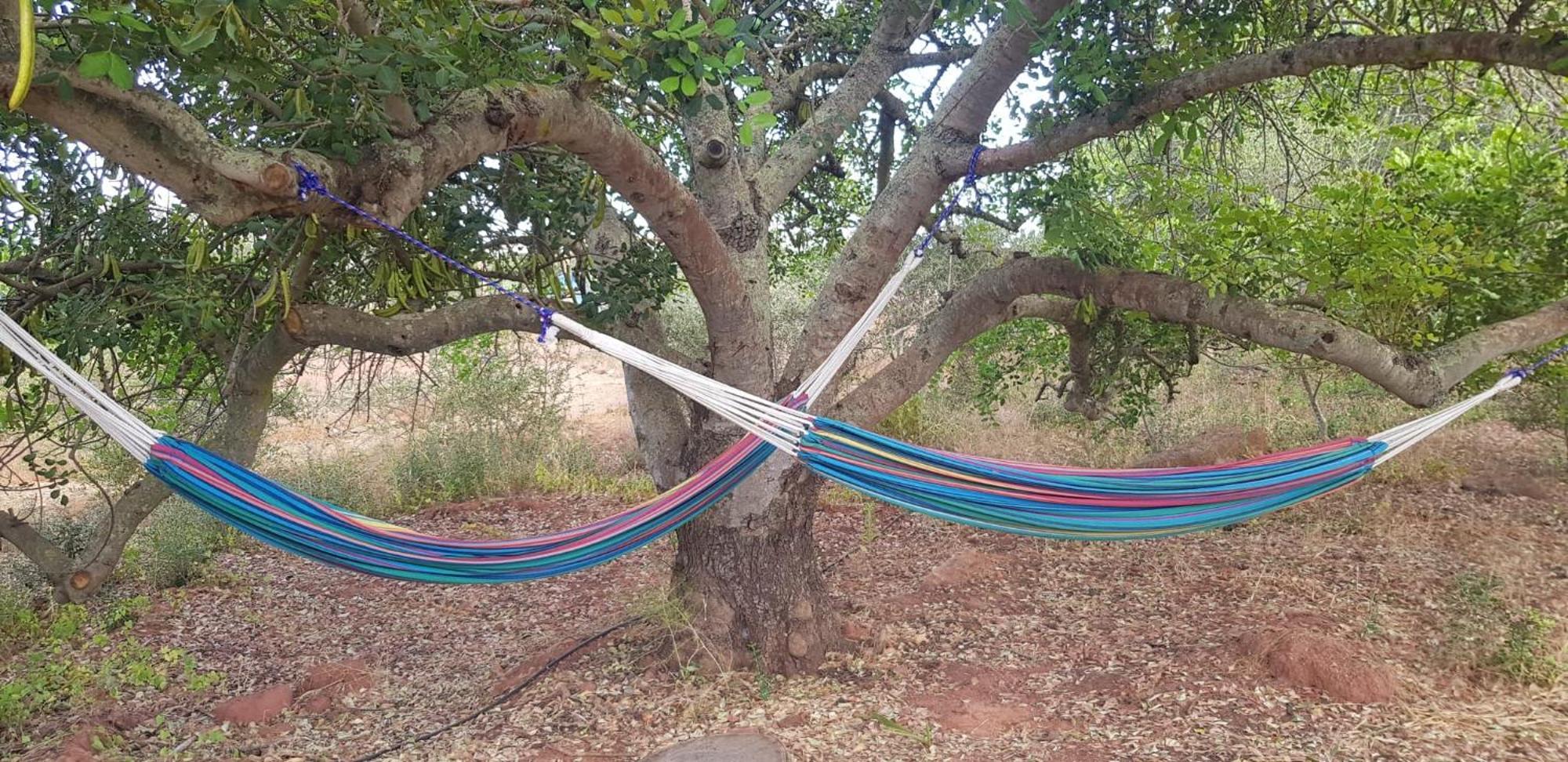 הוילה קסטרו מארים Quinta Da Fornalha - Santuario Agroecologico מראה חיצוני תמונה
